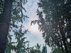 -成都市文化公园