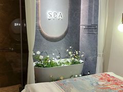 -小仙女采耳·按摩·SPA(深圳旗舰店)