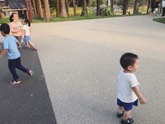 -四海公园(南山区)