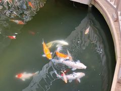 -南宫五洲植物乐园