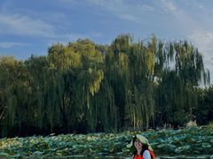 -WhaleSports户外水上运动俱乐部(朝阳公园店)