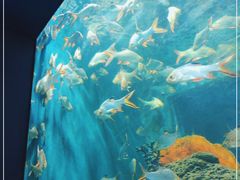 -石家庄海洋公园