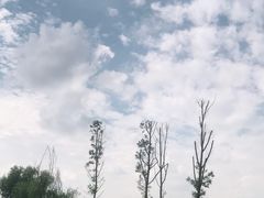 -秀丽东方