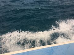 -亚龙湾海底世界