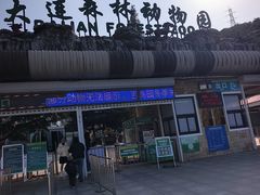 -大连森林动物园