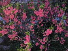 -玄武湖景区-情侣园游乐场