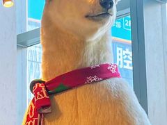 -魏客咖啡(中铁中心店)