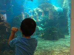 -三亚亚龙湾雅高美爵酒店