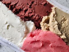 -Dip in Gelato(富民路店)