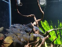 -太平洋海底世界