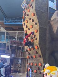 -卡通尼·Safari非洲探索乐园·生日会(金桥国际商业广场店)