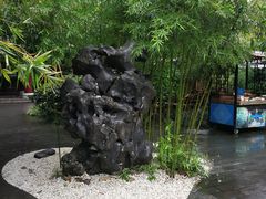 -香园自助小火锅