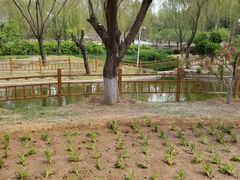 -燕郊植物园