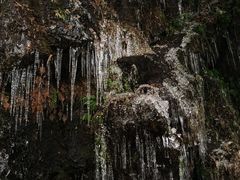 -龙苍沟森林公园