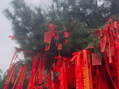 -泰山风景名胜区