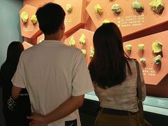 -广西壮族自治区博物馆