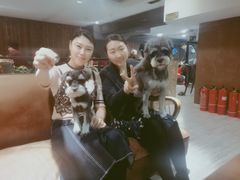 -百好乐宠物友好餐厅(朝外大街店)