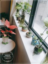 -尚艺造型.剪烫染.接发