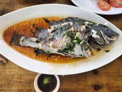 -七鲜渔港美食餐厅(巽寮湾海景店)