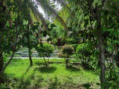 -金穗园温泉酒店