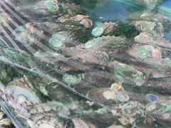 -雅逸居海鲜小厨