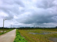 -崖口云吞(中堡店)