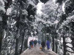 -南岳衡山风景名胜区