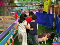 -正佳雨林生态植物园