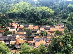 -杨家堂村