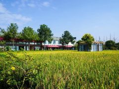 -洪湖家庭农场·团建·露营·会议