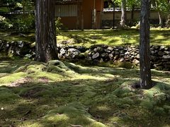 -西芳寺(苔寺)