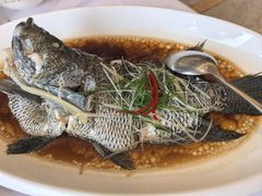 -骏莱海鲜鱼港(五角场店)