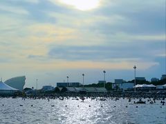 -碧海金沙