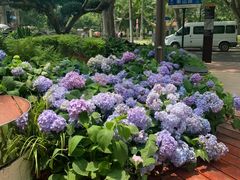 -徐家汇源景区-衡山公园