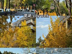 -翠湖公园