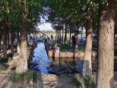 -滆湖低碳生态公园