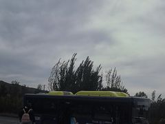 -新疆天山野生动物园