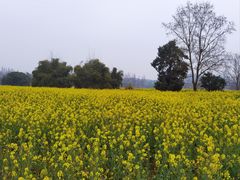 -蜀绣公园