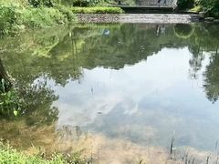 -云溪植物园