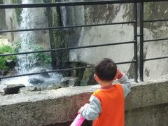 android_upload_pic-上海佘山国家森林公园西佘山园