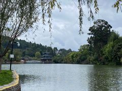 -黑龙潭公园