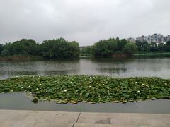 -新江湾城公园