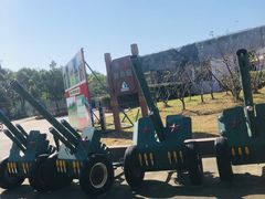 -上海海湾国家森林公园