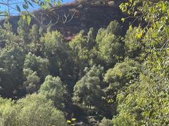-百里山水画廊乌龙峡谷
