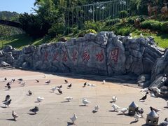 -大连森林动物园