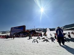 -富龙滑雪场