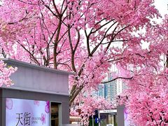 -首开·龙湖成都西宸天街