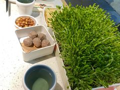 活体豆苗-左庭右院鲜牛肉火锅(百联临港店)
