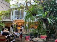 -Fern Forest Cafe