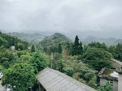 -碧峰峡风景区